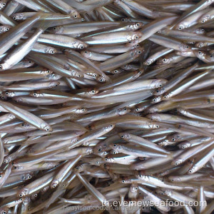 ปลา iqf คุณภาพสูง whitebait